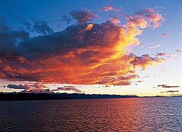 Capcom想开发新的《漫画英雄对卡普空》游戏